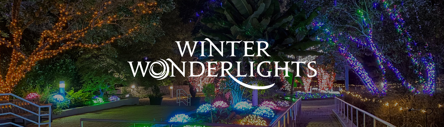 Winter WonderLights logo over an image of the garden illumined with Christmas lights