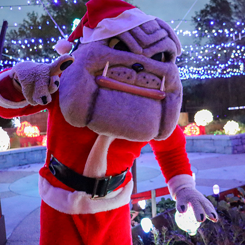 Winter WonderLights Special - Hairy Dawg at the Botanical Garden during Winter WonderLights